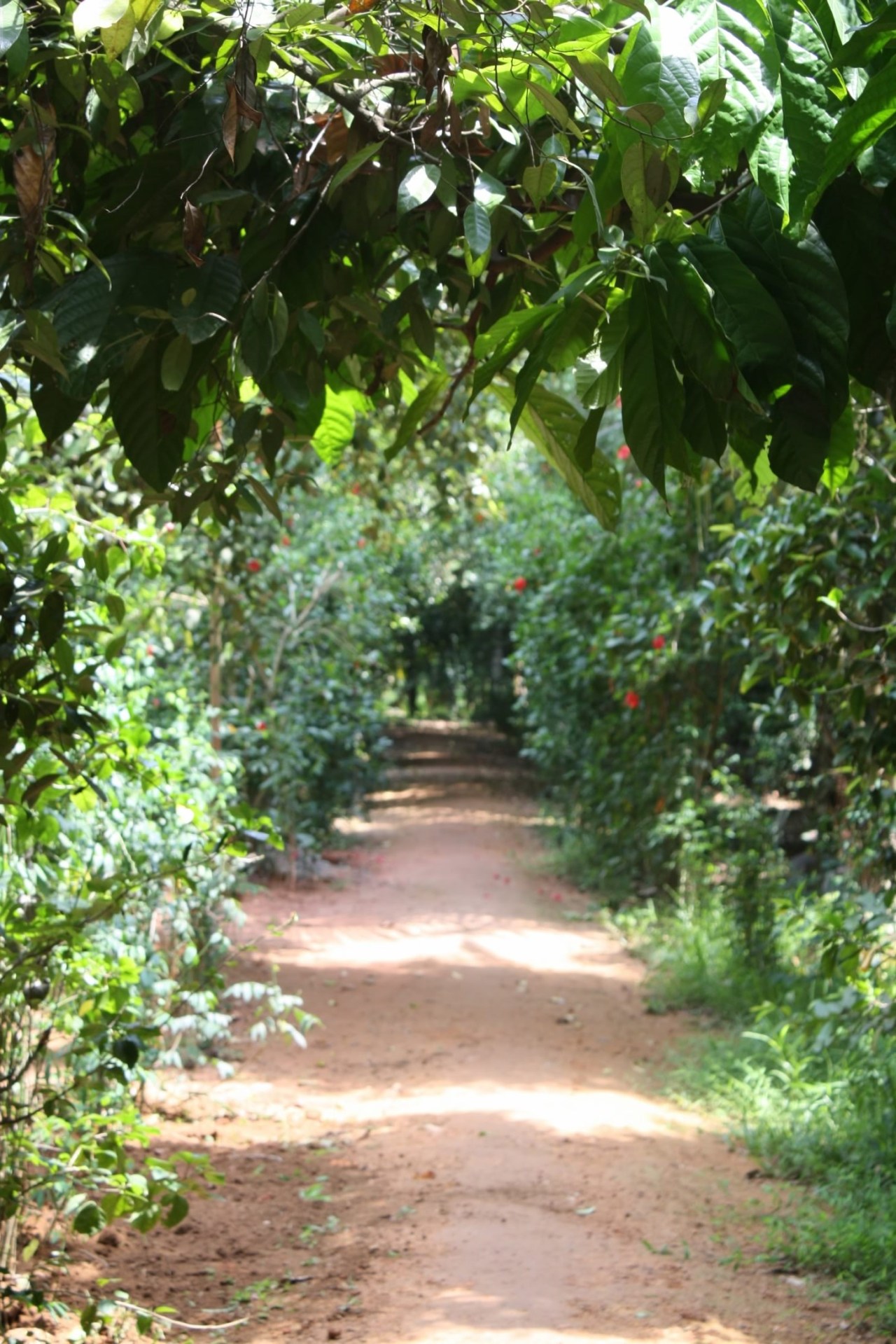 When Creating Space for Silence is Intertwined with the Practice of Peace and&nbsp;Justice