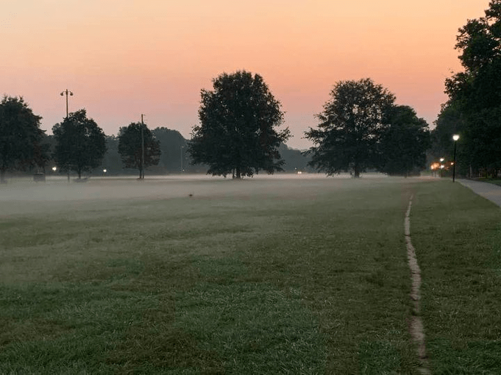 Reflecting on Psalm 23–God’s Good Shepherding in the Midst of Daily&nbsp;Chaos